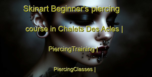 Skinart Beginner's piercing course in Chalets Des Acles | PiercingTraining | PiercingClasses | SkinartTraining-France